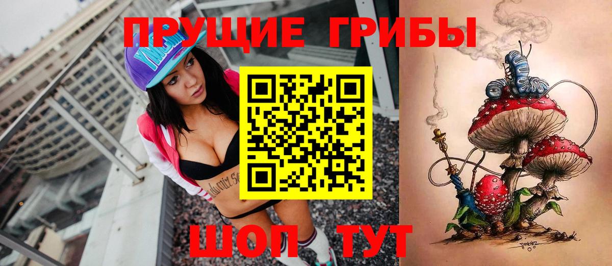 Псилоцибиновые грибы ЛСД  Вход с VPN  где найти   Сосновоборск 