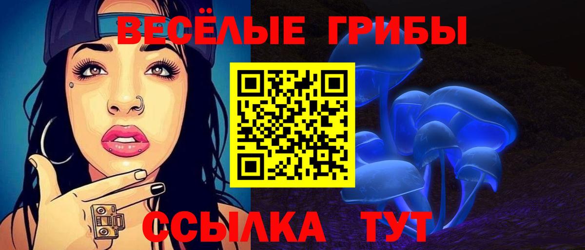 Псилоцибиновые грибы прущие грибы Сосновоборск